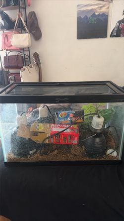 Reptile Tank with Screen Lid
