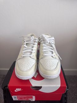 Nike Dunk Low Retro size 7/hablo español