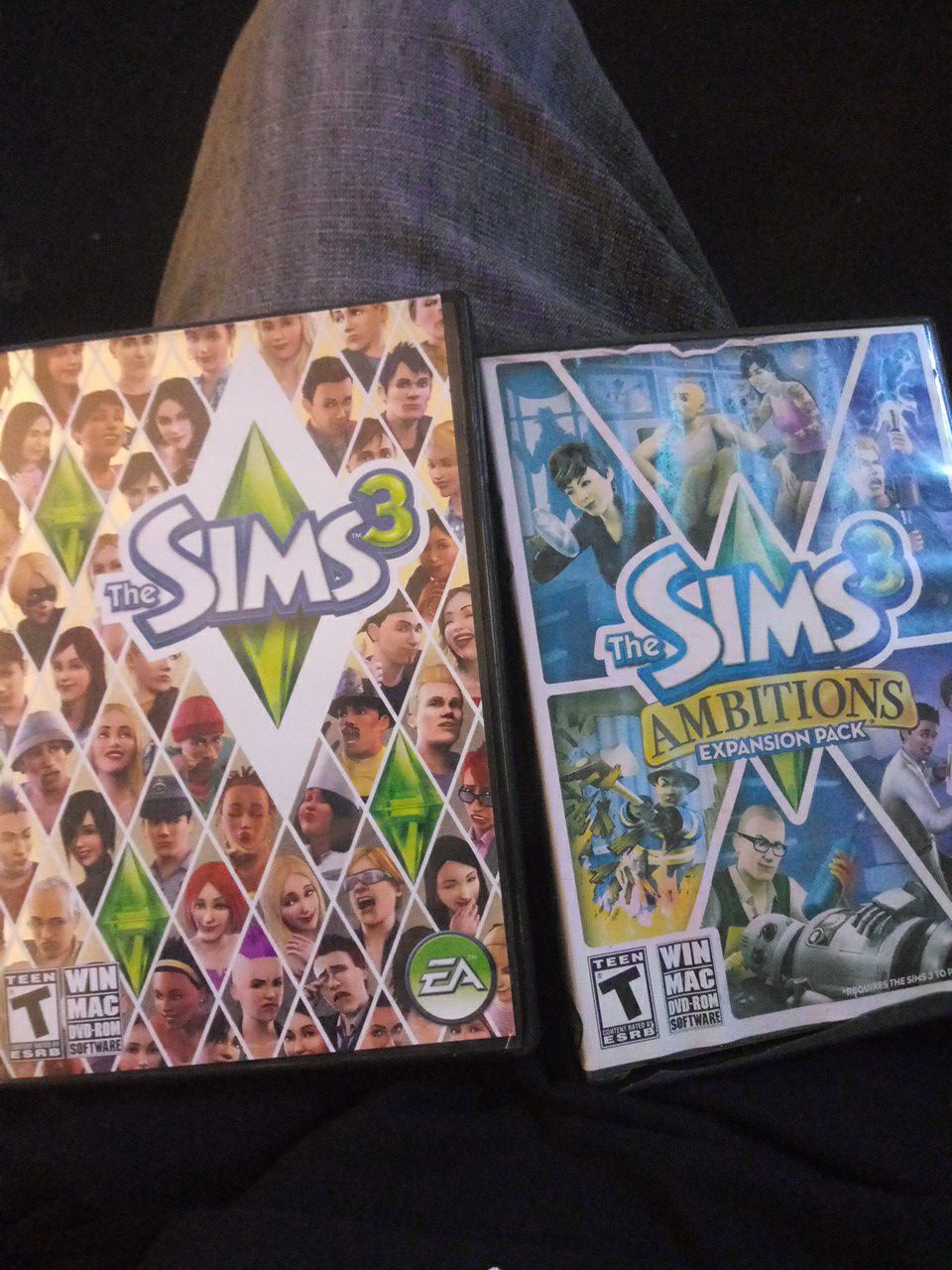 The sims 3 sims 3 ambitions