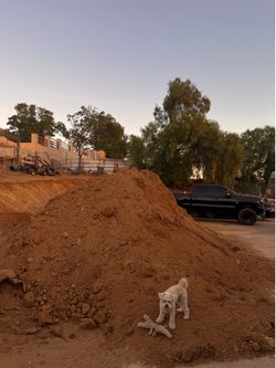 Clean Free Dirt