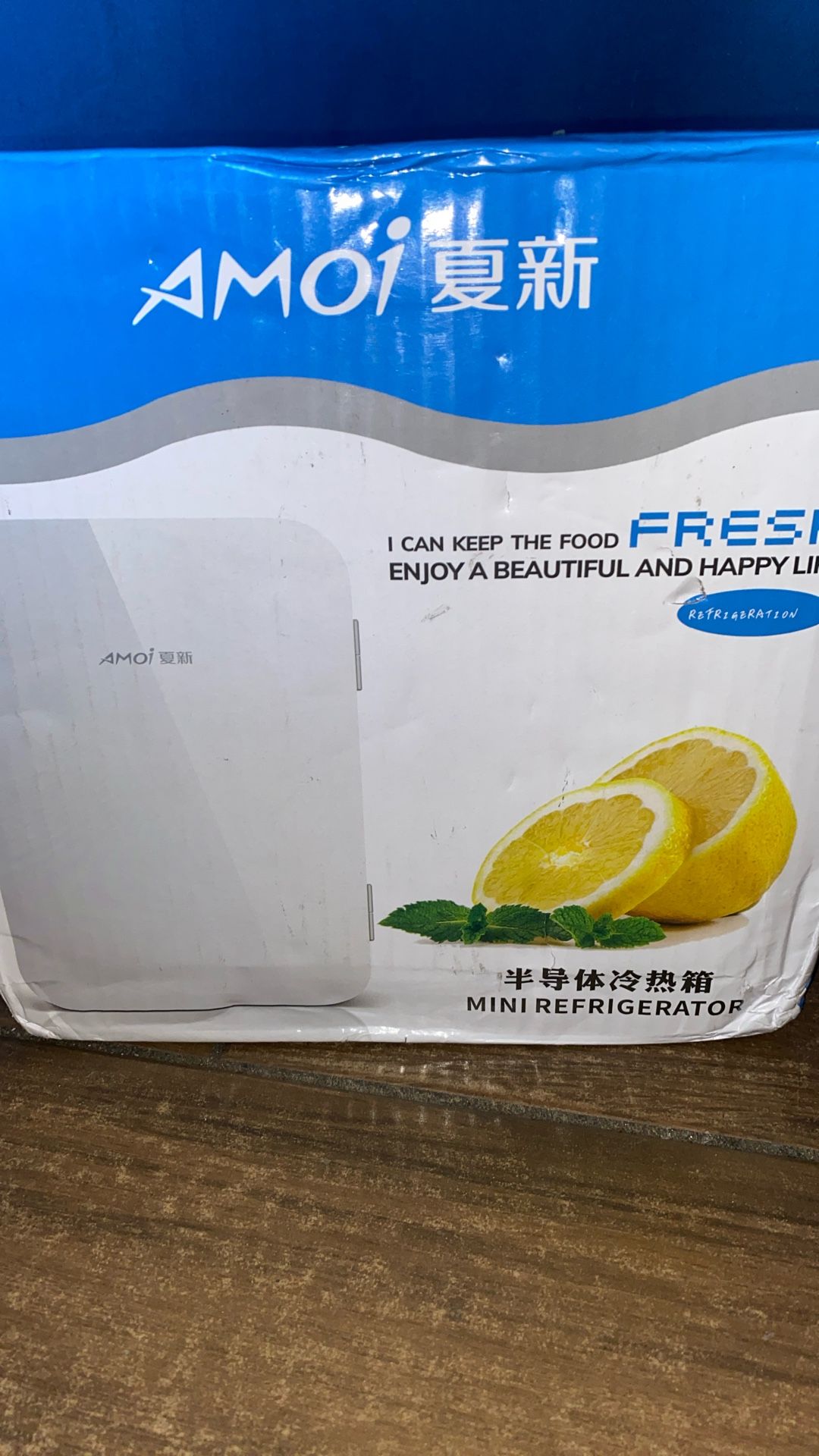 Amok  Small Car & Home Portable  Mini  Fridge 8L