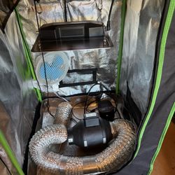Hydroponic Grow Tent System 