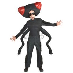 Big Fly Kids Costume Size Large 12-14