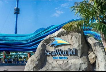 SeaWorld 4 tix