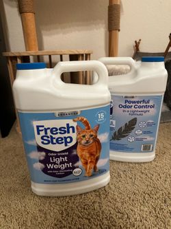 Cat litter