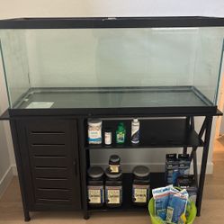 75 Gallon Aquarium Marine Set Up