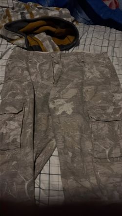 hollister pants