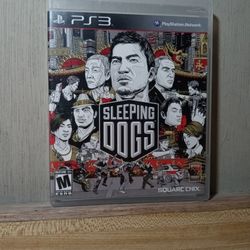 PS3 Sleeping Dogs