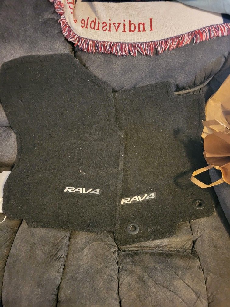 2 Rav 4 Car Mats