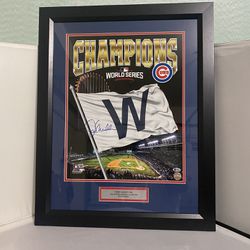 Joe Maddon World Series Chicago Cubs Champions Autographed Photo
