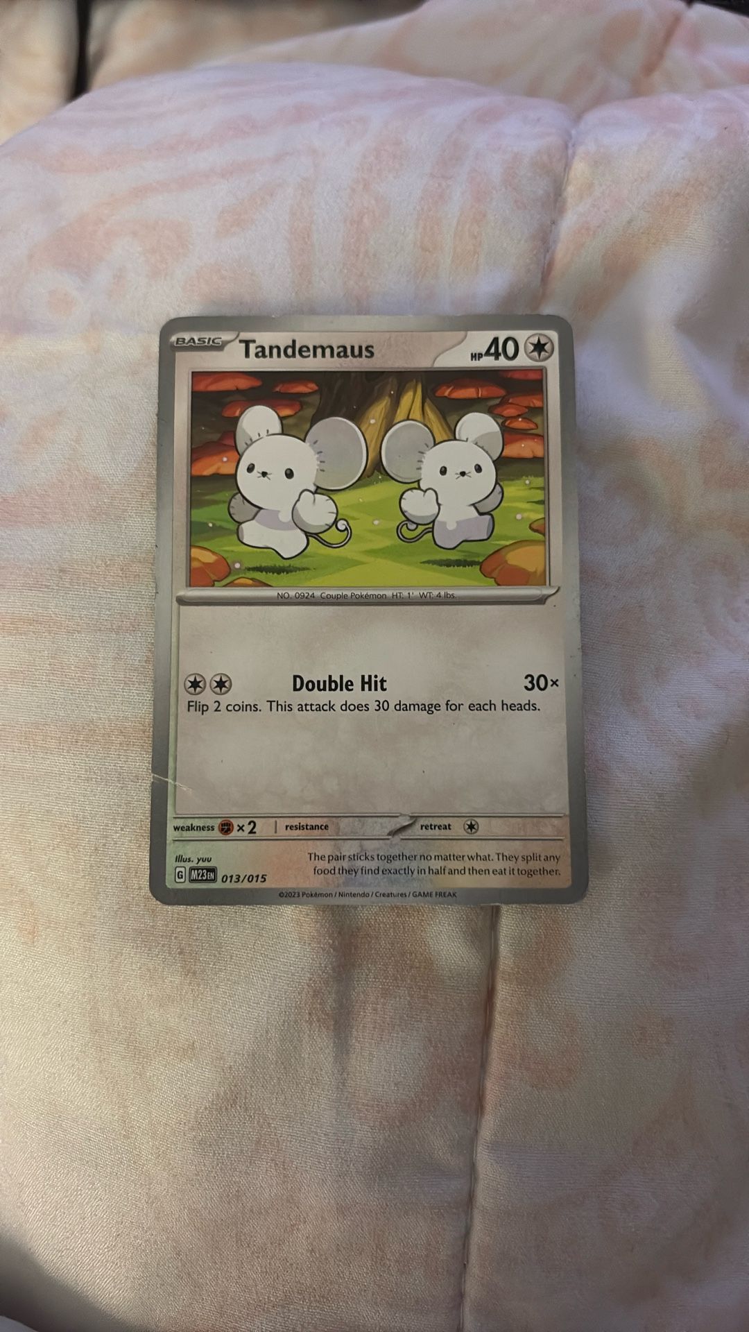 Pokémon Card