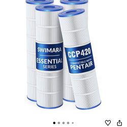 Pool Filter 