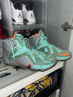 the LeBron 12 'NSRL'  (size 8.5 Men)
