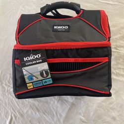 Igloo cooler bag