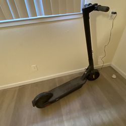 Electric Segway Scooter 
