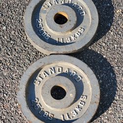 Olympic Plates-25lbs 