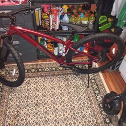 29 Inch Schwinn Axum Mounting Bike