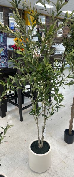 6ft Artificial Olive Tree in White Pot