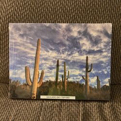 Sahuaro Sky   TSP1003