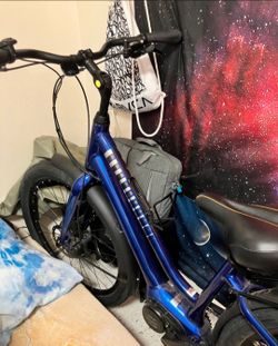 Giant SyncDrive Life Step Through E Bike