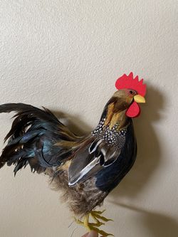Fake chicken