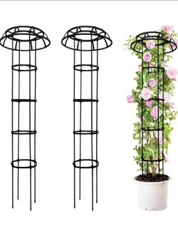 Garden Trellis for Climbing Plants