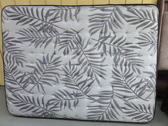 Sealy Queen mattress