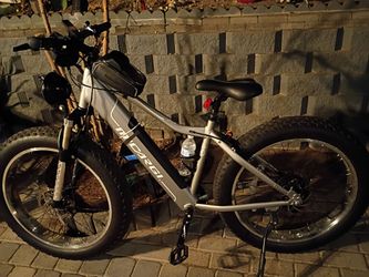 Giant E Bike