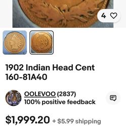 Rare 1902 Indian Head Penny