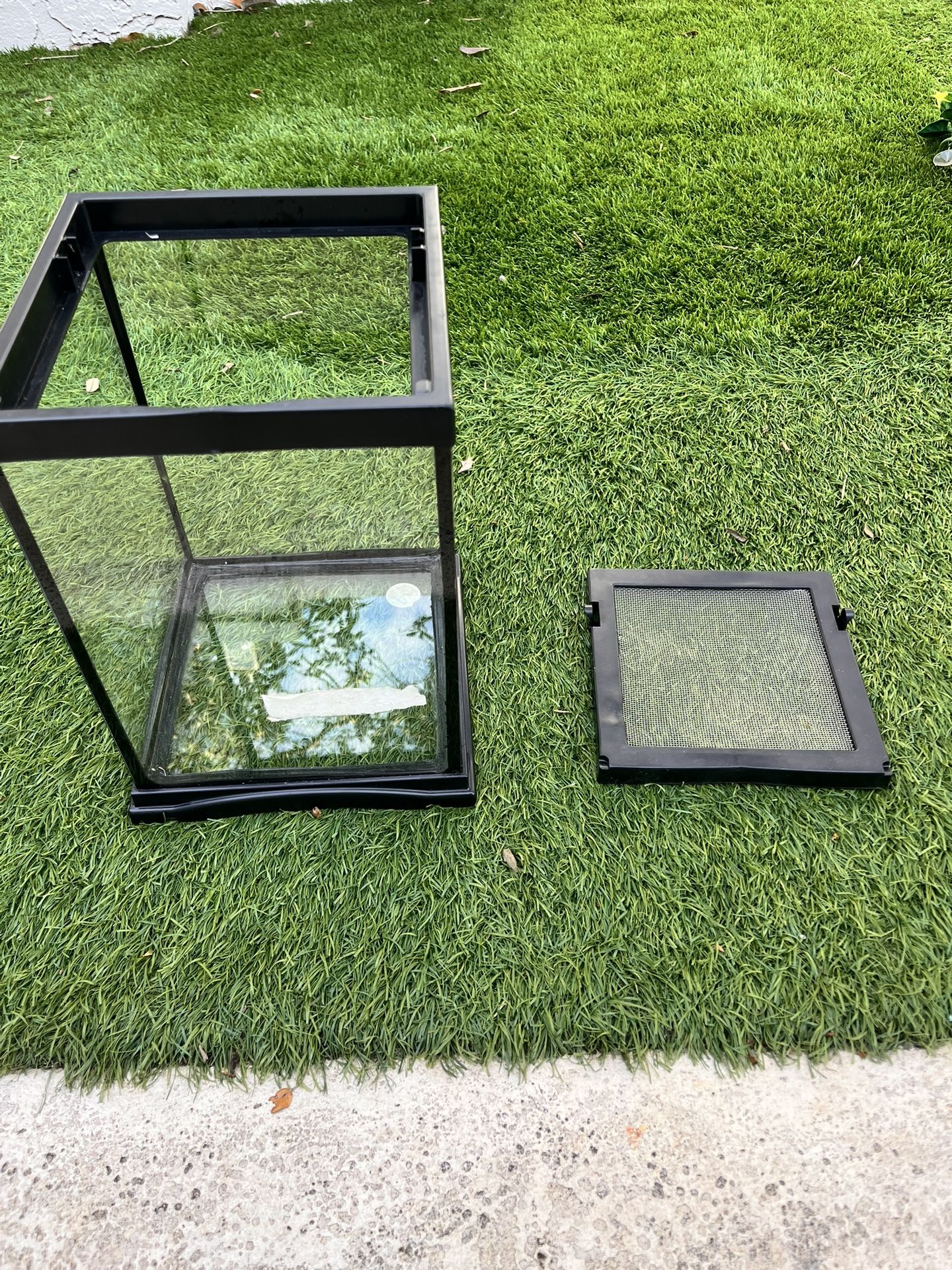 Reptile Enclosure