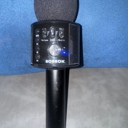 Karaoke Mic