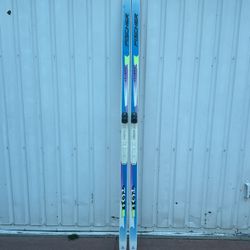 Fisher Adult Cross Country Skis 
