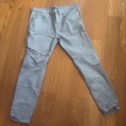 Nova men Pants Greg