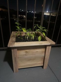 Medium cedar planter box