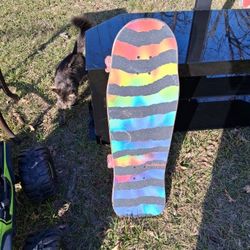 Santa Cruz Skate Board