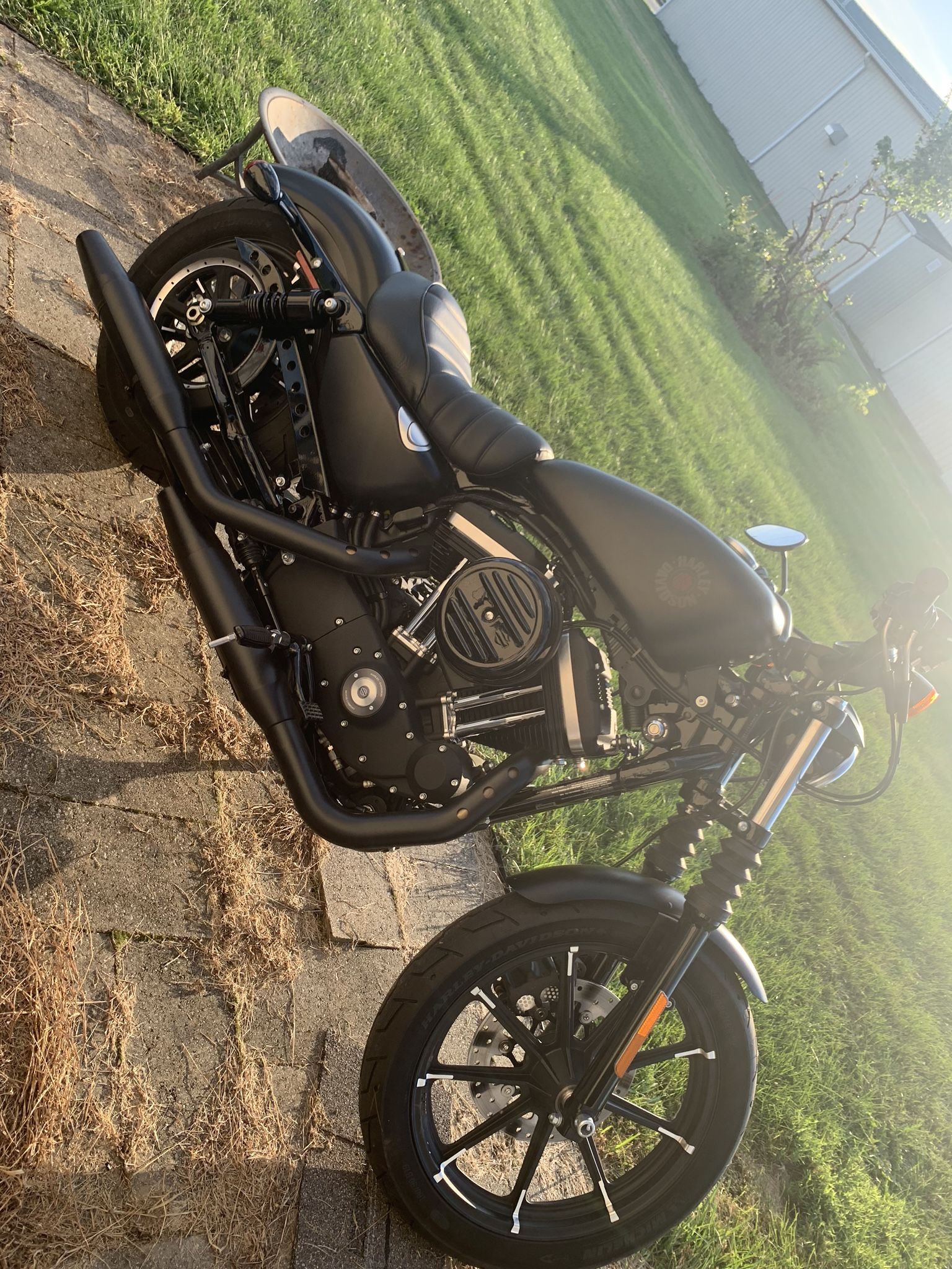 2019 Harley Davidson 883 sportster