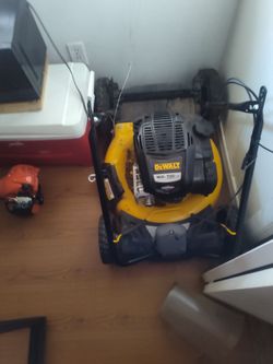 Law DeWalt