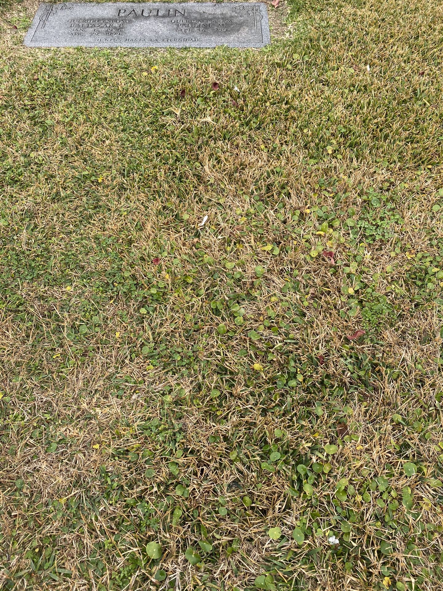 Cemetery plot at Forest Park Lawndale for Sale in Houston, TX OfferUp