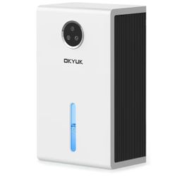 Dehumidifier