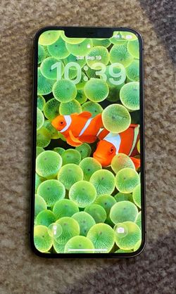 iPhone 12 Pro Max 256gb unlocked lakers Kobe