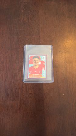 2026 World Cup Purple Outline Fabian Rieder