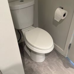 Matching Toilets 