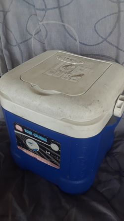 Igloo Ice Cube