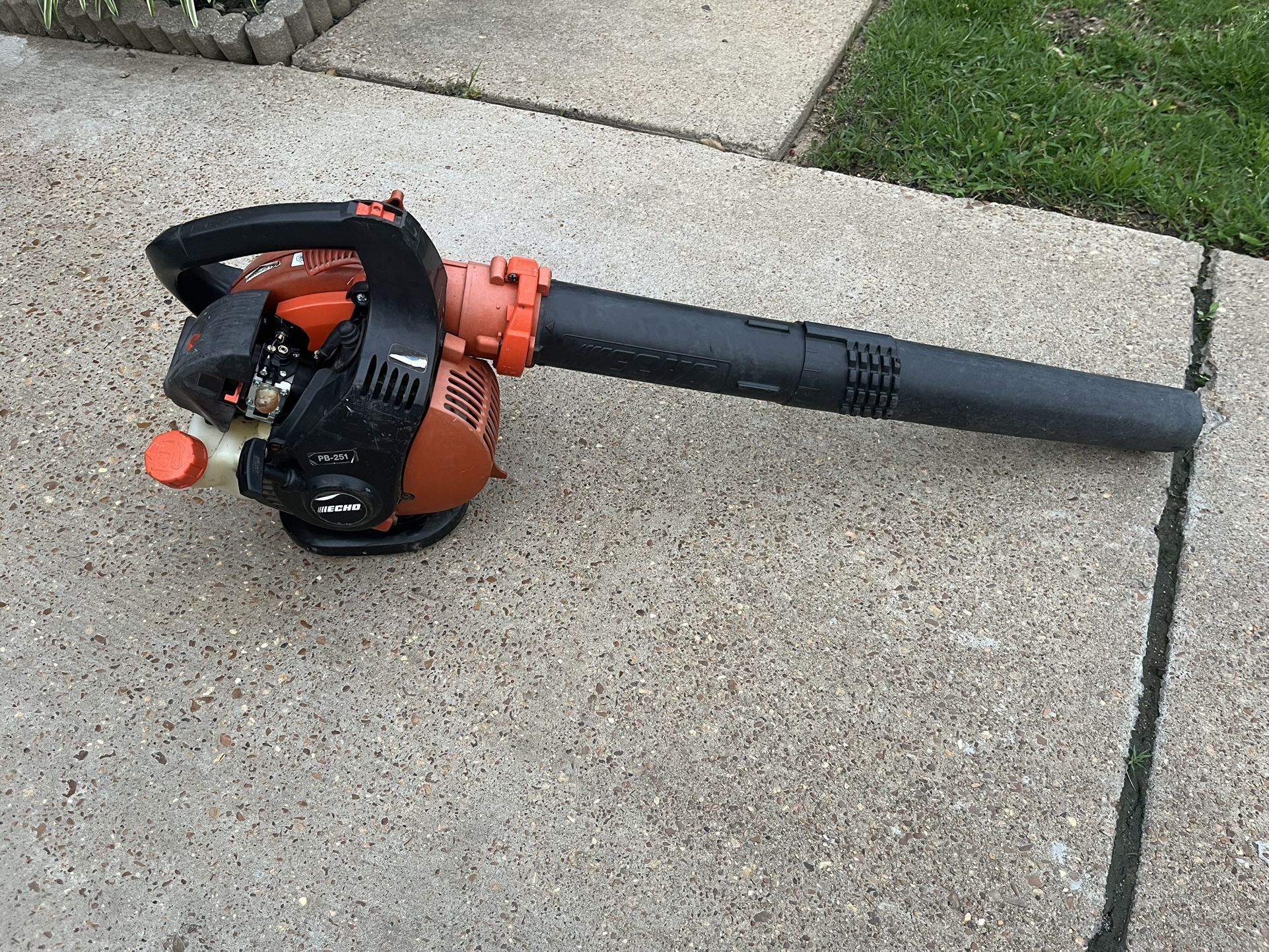 Echo Leaf Blower