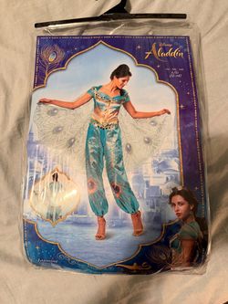 Jasmine Costume