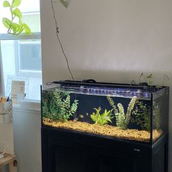 Fish Tank Aquarium 