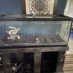 Fish Tank 55 Gallons 