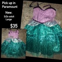 Little mermaid costume