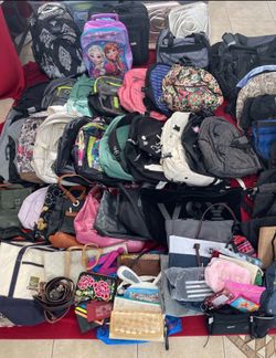 Huge Assorted Bag Collection – Backpacks, Totes, Travel Bags , Handbags and More 150+ PCs.