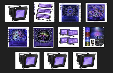 Professional Grade Black Light Setup